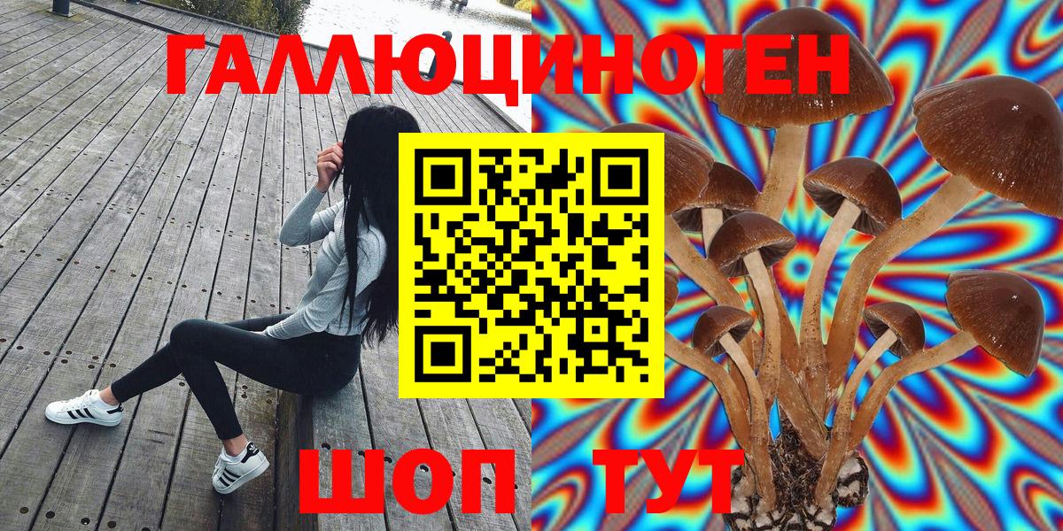 Псилоцибиновые грибы Psilocybine cubensis  Вход с VPN  Электросталь 